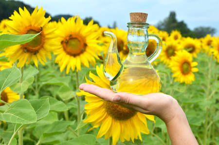 Bottle of oil against sunflowersの写真素材