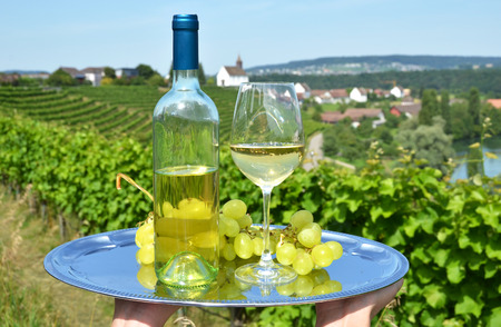 Wine and grapes  against Rhine rive and vineyards in Rheinau, Switzerlandの写真素材