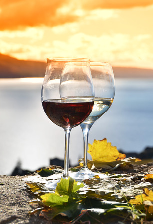 Two wineglasses and grapes on the terrace of vineyard in Lavaux region, Switzerlandの写真素材