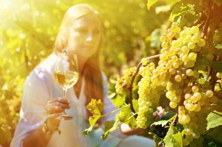 Girl in the vineyards. Lavaux, Switzerlandの写真素材