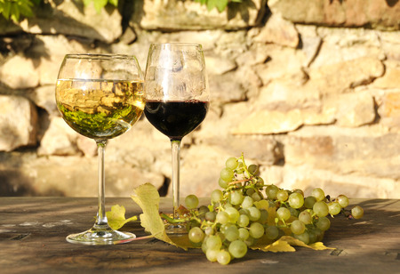 Pair of wineglasses and bunch of grapes. Lavaux region, Switzerlandの写真素材