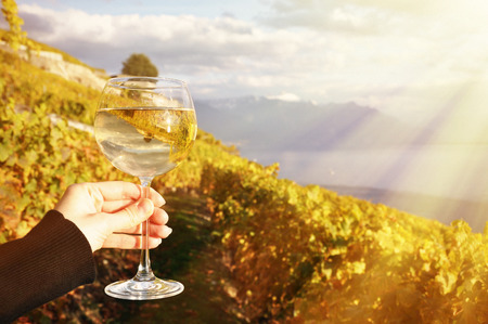 Wineglass in the hand against vineyards in Lavaux region, Switzerlandの写真素材