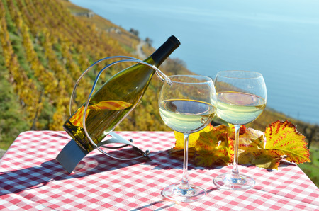Wine and grapes. Lavaux, Switzerlandの写真素材