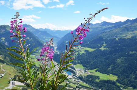 Alpine scenery from from Gotthard pass, Switzerlandの写真素材