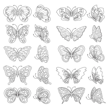 Set of butterflies - black and whiteのイラスト素材