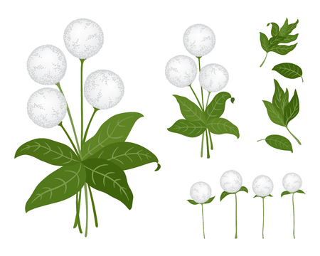 Cute flowers isolated on white background, vector illustrationのイラスト素材