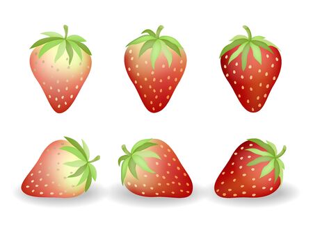 Strawberry isolated on white background. Sweet red fruit. Vector Illustration.のイラスト素材