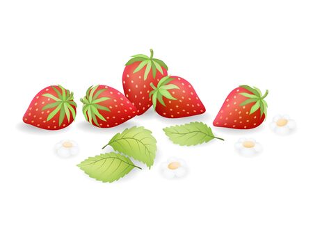 Strawberry isolated on white background. Sweet red fruit. Vector Illustration.のイラスト素材