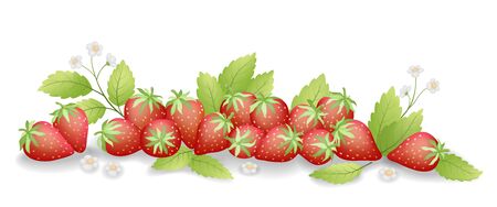 Strawberry isolated on white background. Sweet red fruit. Vector Illustration.のイラスト素材