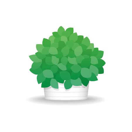 Small green bushes in white flowerpot. Potted plants. Vector Illustration.のイラスト素材