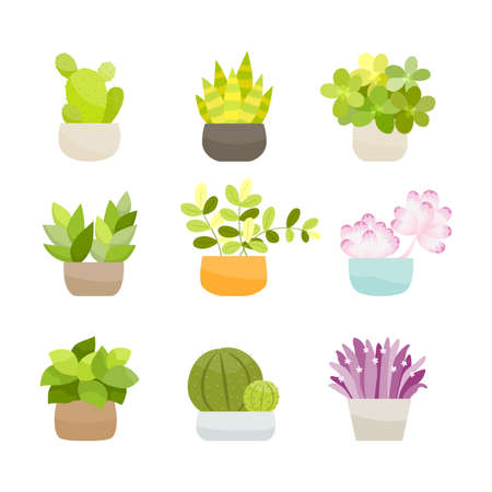Collection of small green bushes, potted plants. Vector Illustration.のイラスト素材