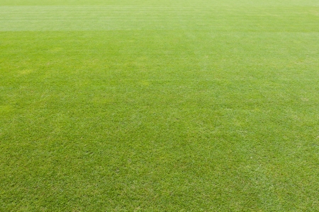 Carefully maintained empty green lawn background of a sports field or stadiumの写真素材