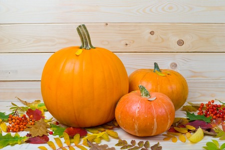 orange pumpkins on light wooden backgroundの写真素材