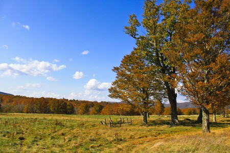 Welcome to autumn seasonの写真素材