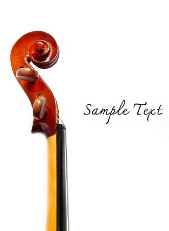 Details of violin head isolated Details of violin head isolated