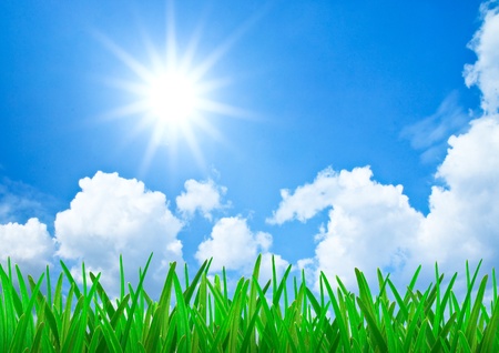Green grass and blue sky with sunの写真素材