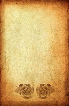 rose on old vintage paper with spaceの写真素材