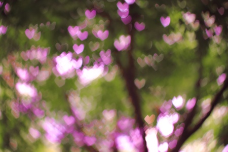 abstract of heart bokeh shape の写真素材