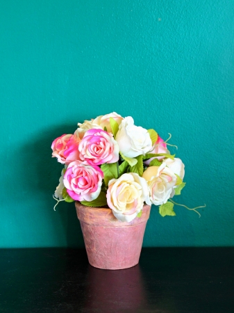 rose in flowerpot for decoration の写真素材