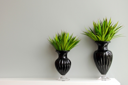 Green plant in black vase decorated for roomの写真素材