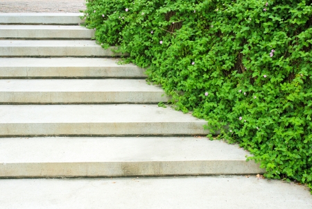 Stone stairway with green plant in the gardenの写真素材