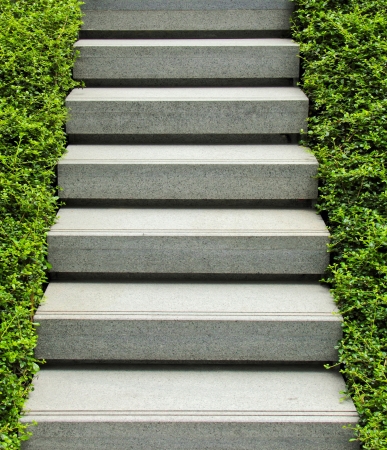 Stairway with green plantの写真素材