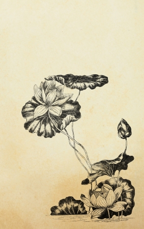 Lotus flowers in art nouveau style on old paperの写真素材