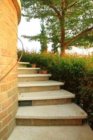 Staircase with flower and tree in gardenの写真素材