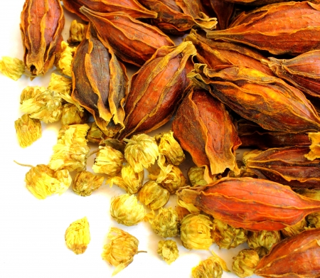 Dried chrysanthemum flowers and seedの写真素材