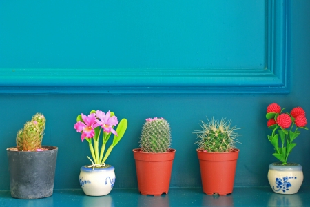 Small cactus with flower decorated on green wallの写真素材