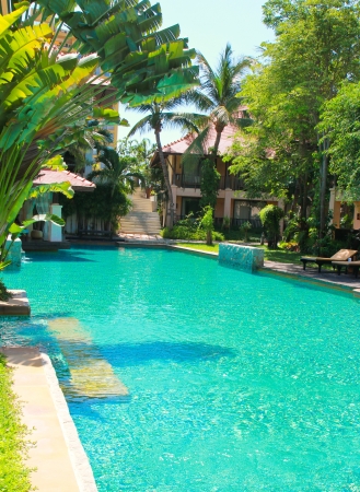 swimming pool surrounded by palm treesのeditorial素材