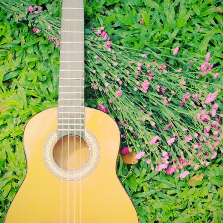 Ukulele guitar on green grass with flowerの写真素材