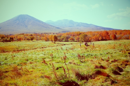 Welcome to autumn season with retro filter effectの写真素材