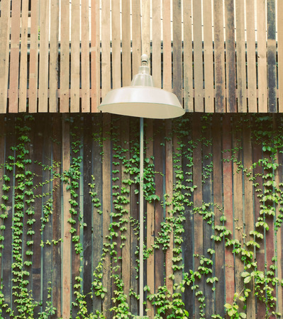 Old lamp hanging outdoor with wooden wall and ivy plantの写真素材