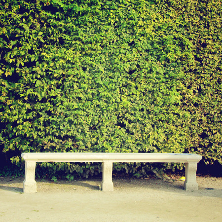 Stone bench and ivy plant wall with retro filter effectの写真素材
