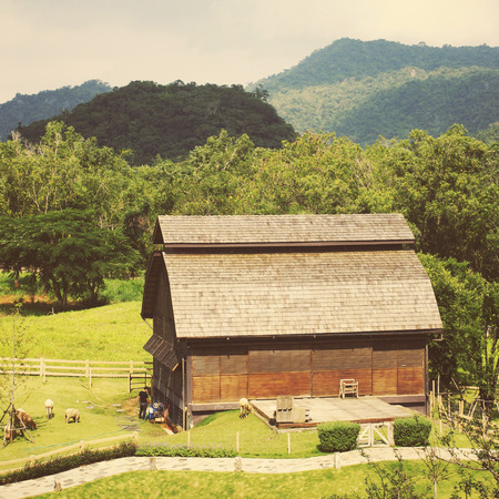 Old storehouse in countryside area with animal farmの写真素材