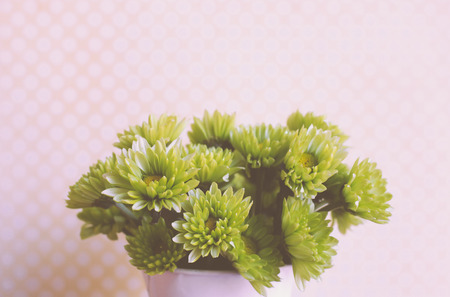 Close up bunch of flower with vintage filter styleの写真素材