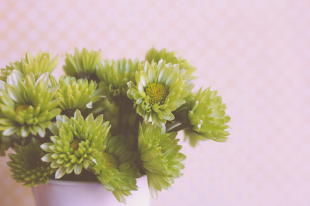 Close up bunch of flower with vintage filter styleの写真素材