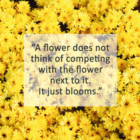 Inspirational quote on yellow blossom flowers with retro filter effectの写真素材