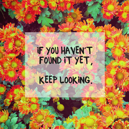 Inspirational quote on red blossom flowers with retro filter effectの写真素材