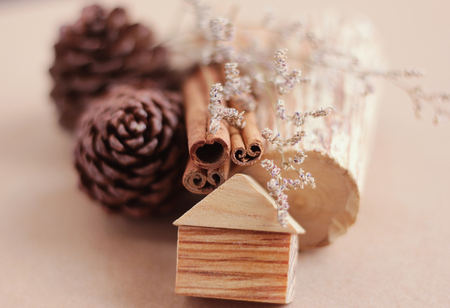 Wooden craft and pine cone with flower for decorationの写真素材