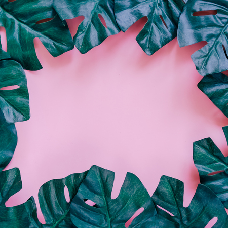 Green palm leaves frame on pink background for poster or template designの写真素材