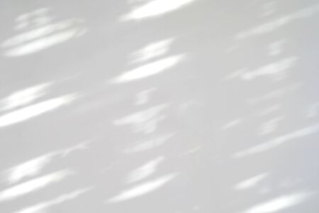 Leaves natural shadow overlay on white texture background, for overlay on product presentation,...