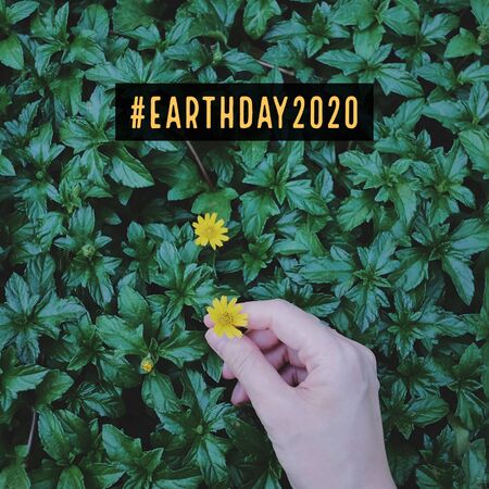 Happy earth day 2020 celebration concept with hand holding yellow flowers over green plant background, save the earth and eco friendlyの写真素材