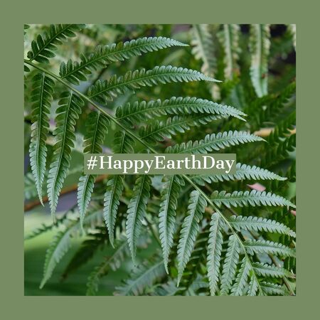 Hashtag Happy Earth Day on green plant background, save the earth and eco friendly conceptの写真素材
