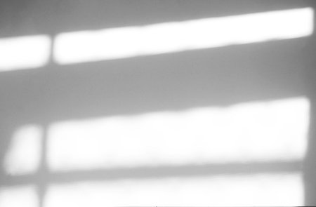 Window natural shadow overlay effect on white texture background, for overlay on product presentation, backdrop and mockup, summer seasonal conceptの写真素材
