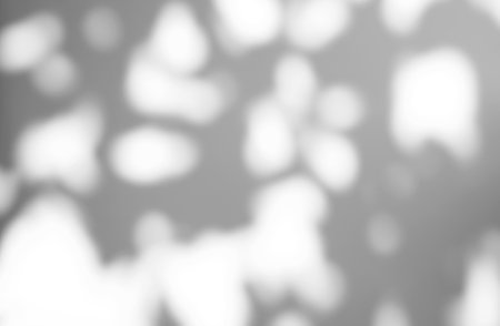 Bokeh sunlight natural shadow overlay on white texture background, for overlay on product presentation, backdrop and mockupの写真素材