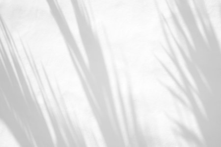 Leaves natural shadow overlay on white texture background, for overlay on product presentation, backdrop and mockup, summer seasonal conceptの写真素材