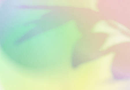 Natural shadow overlay on abstract gradient colorful background with grainy texture, for product design and social mediaの写真素材