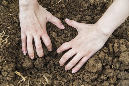 Woman hands digging ground in spring in gardenの写真素材